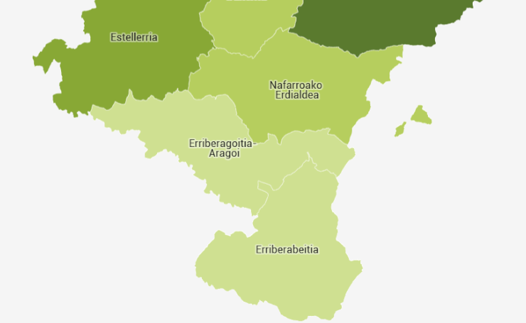 Nafarroako eskualdeen baso-azalera