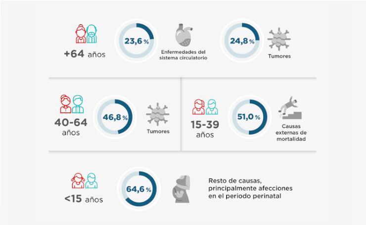 02_listado_infografia_mortalidad_causas_cast.png